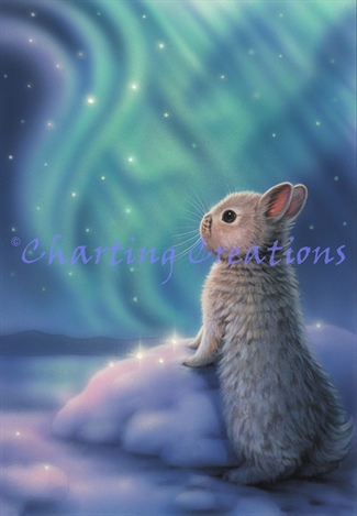 Aurora Bunny Kit Aurora Bunny Kit